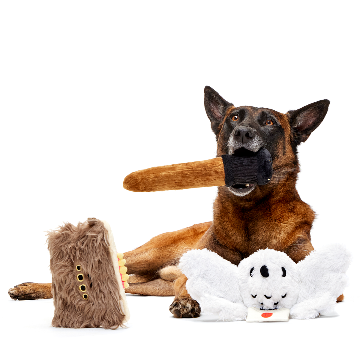 HARRY POTTER™ BarkBox - One Month Gift Box#Dog Size_Large Dog