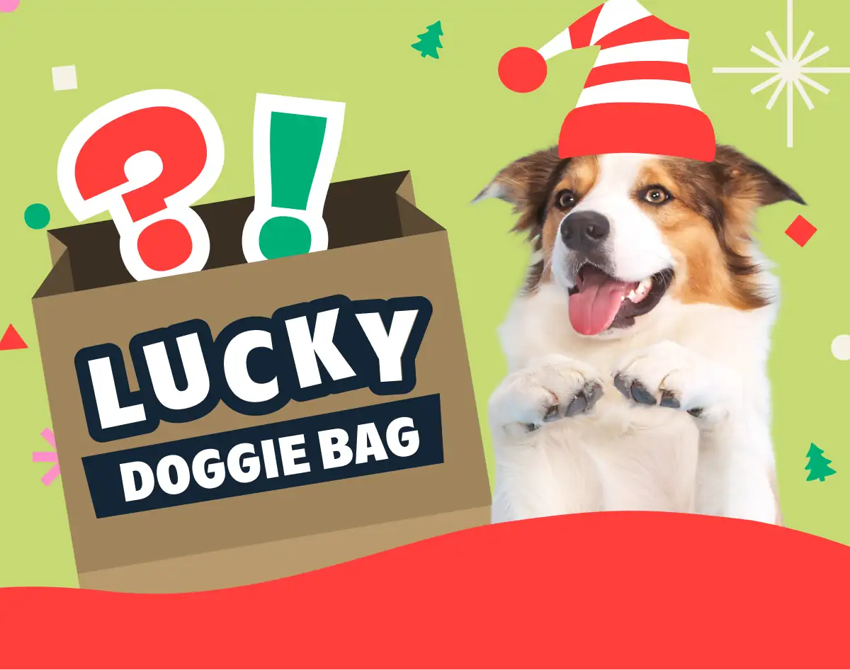 Lucky Doggie Bag