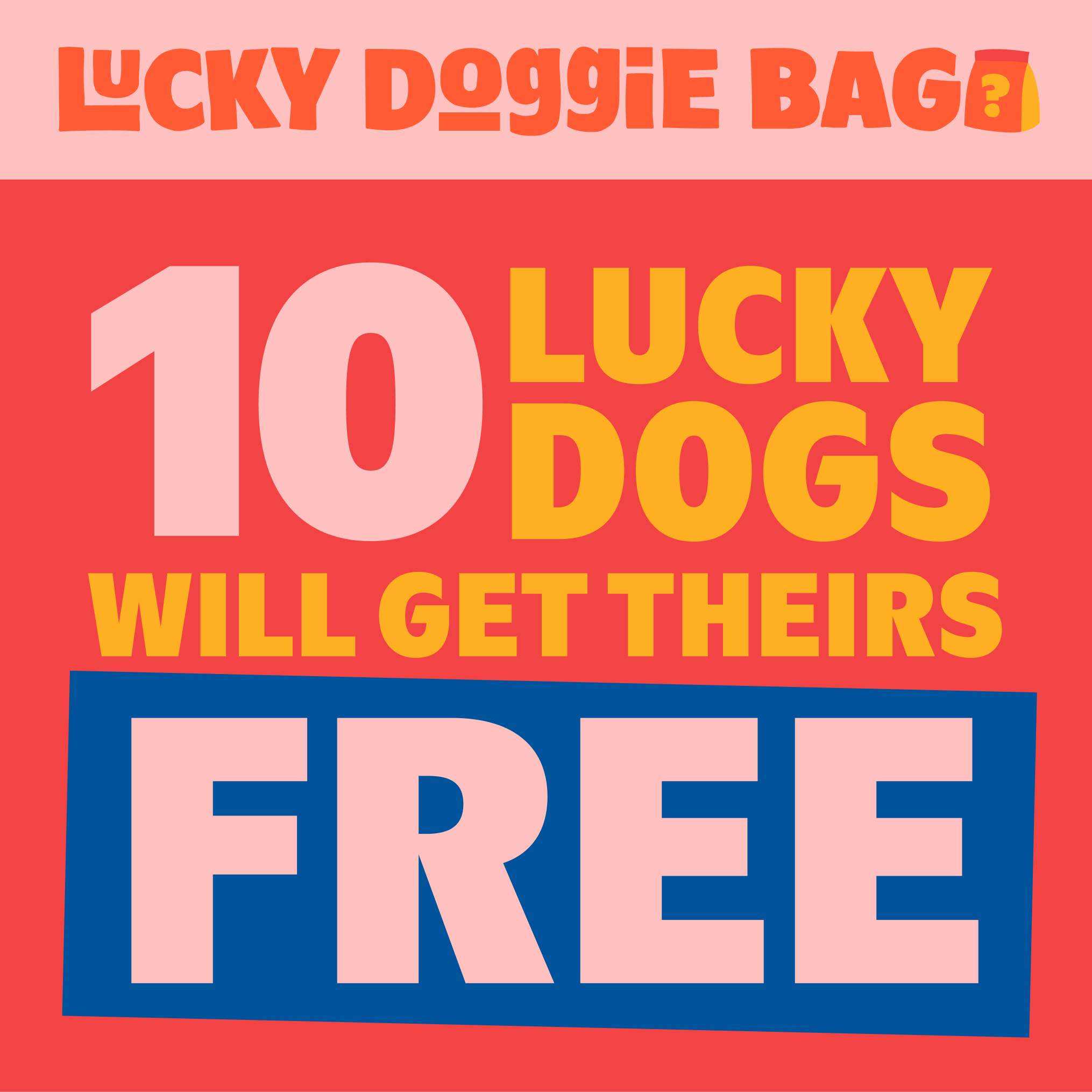 Lucky Doggie Bag