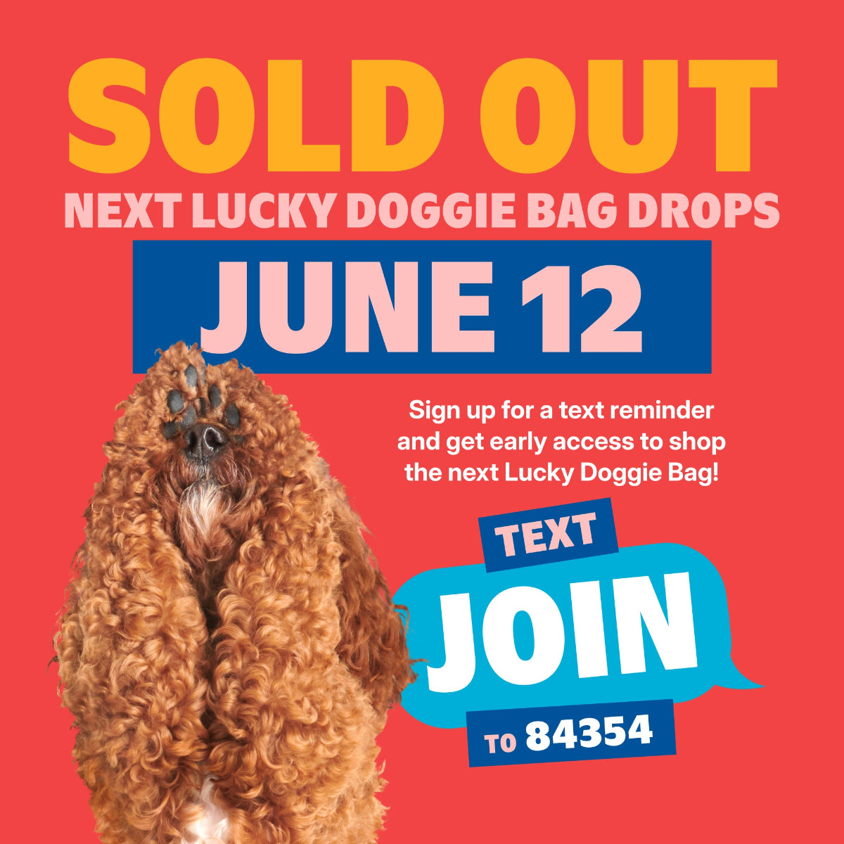 Lucky Doggie Bag