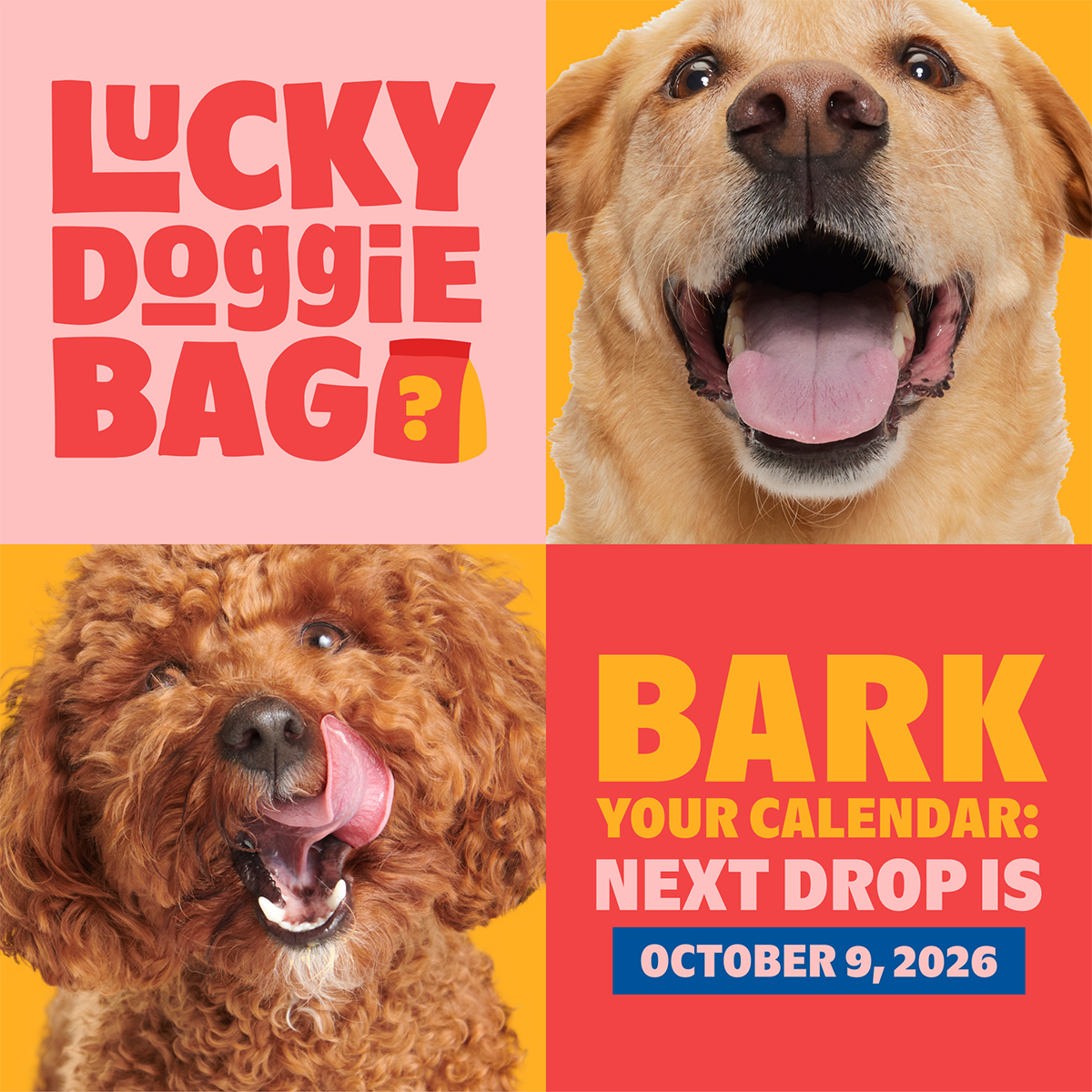 Lucky Doggie Bag