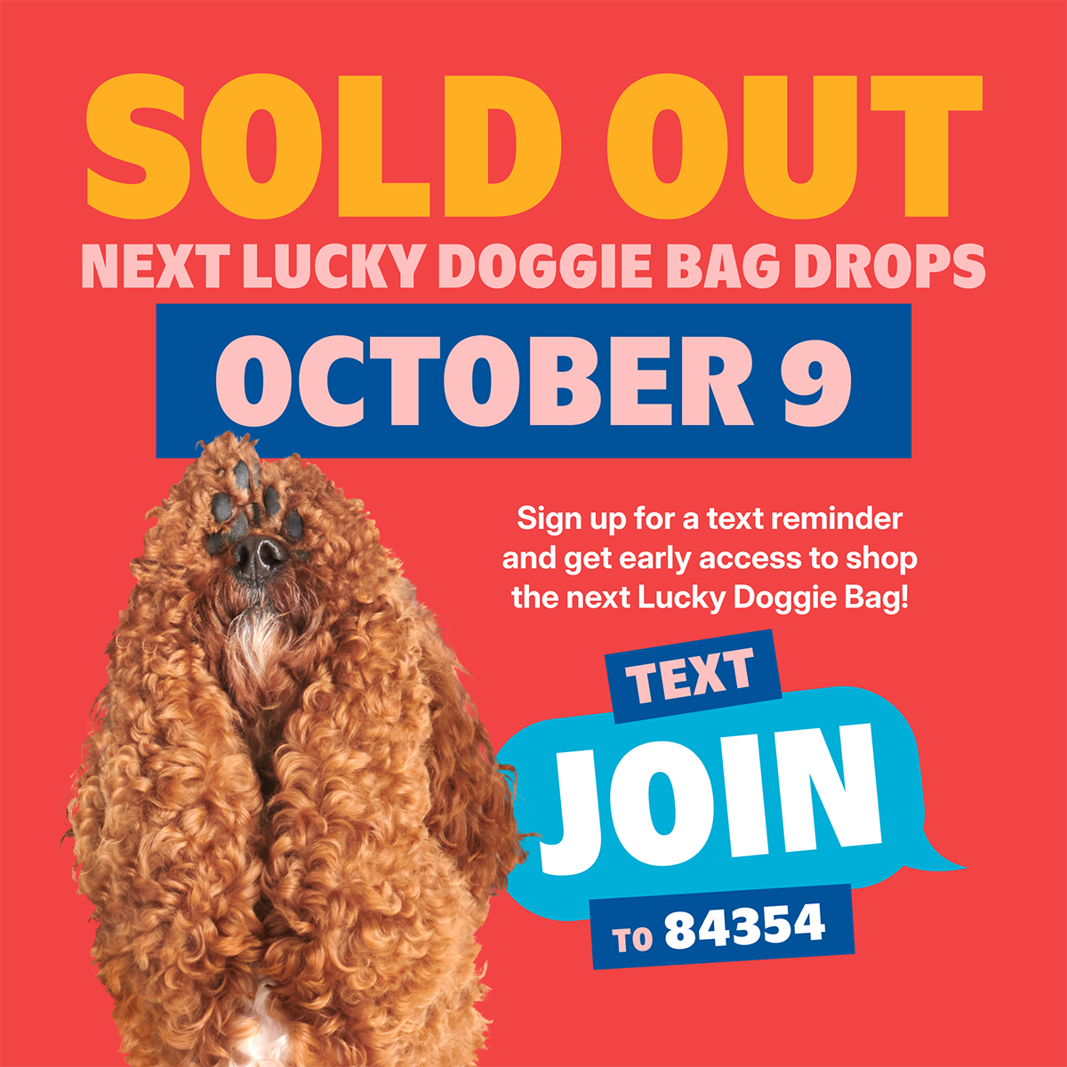 Lucky Doggie Bag