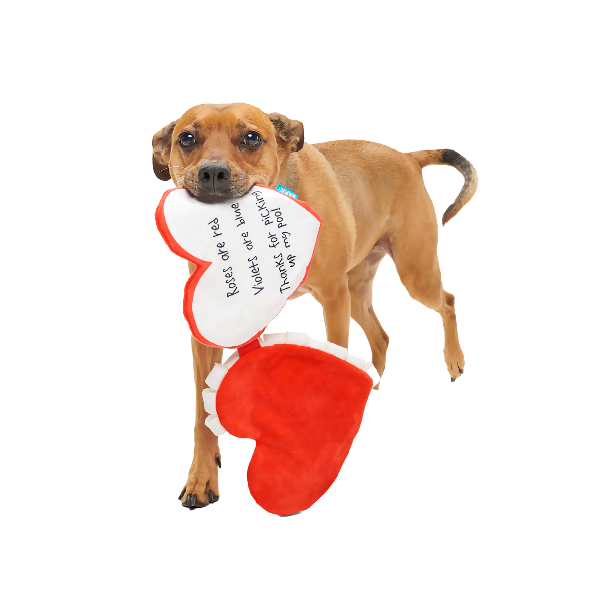 Be Mine Growlentine Plush Enrichment Dog Toy – BARK