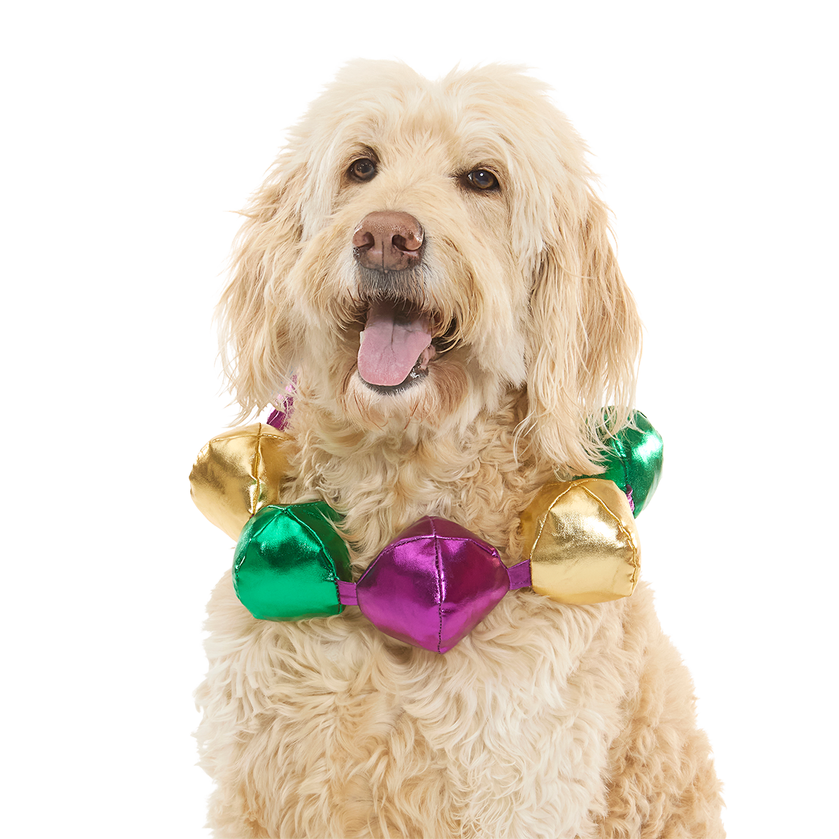 Mardi Growl Necklace