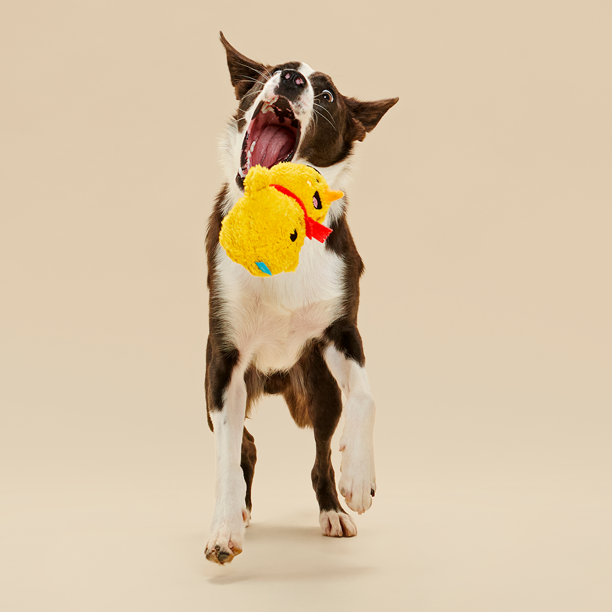 Mark the Yellow Snowman#Size_M/L