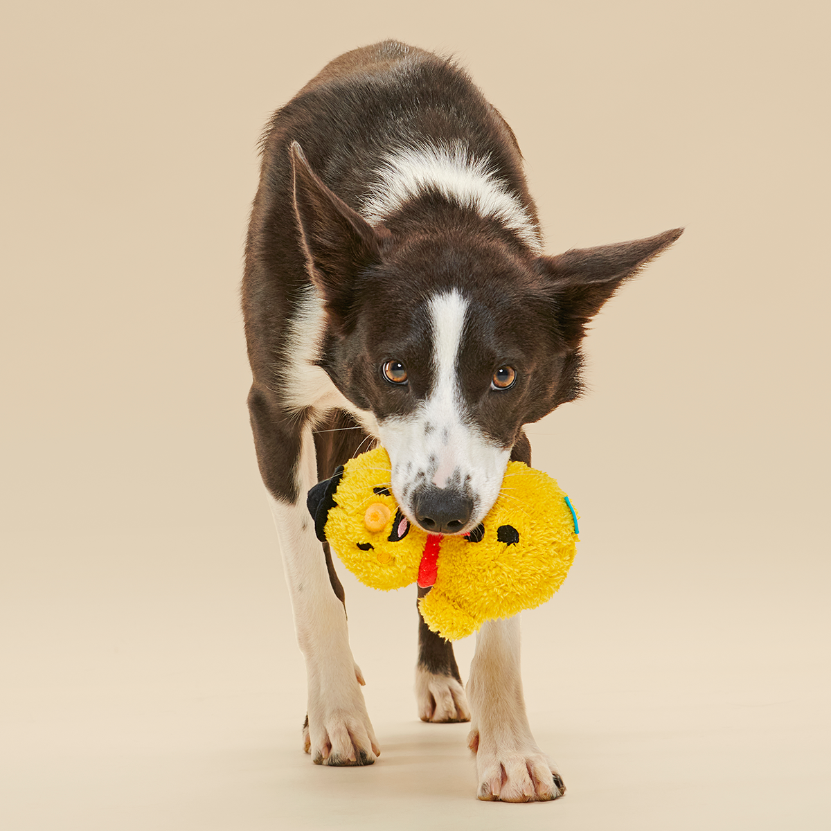 Mark the Yellow Snowman#Size_M/L