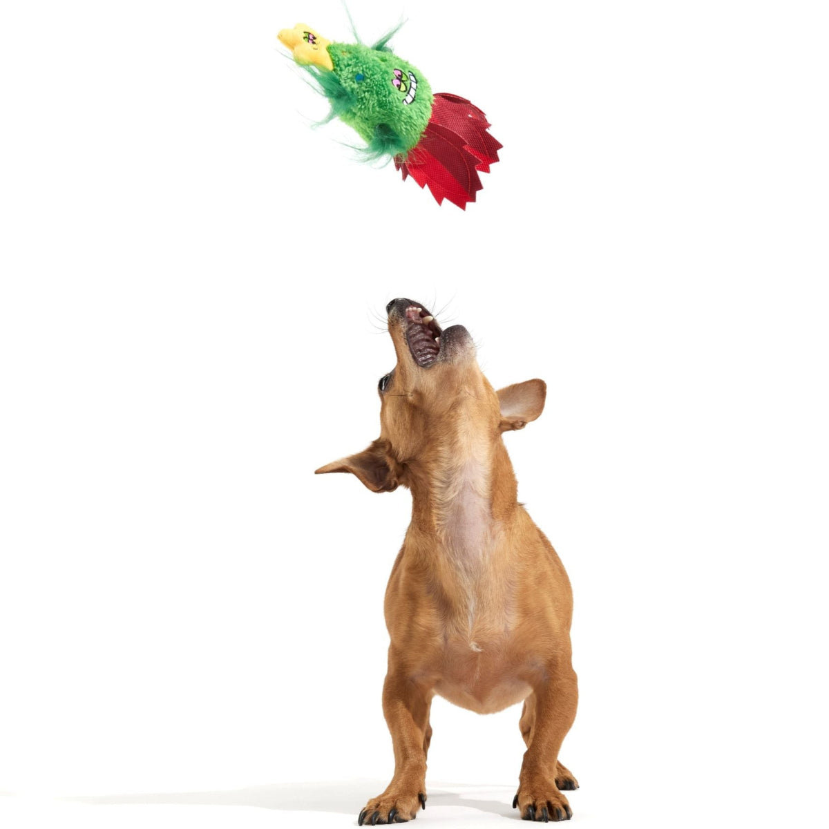 Merry Juana Plush Dog Toy