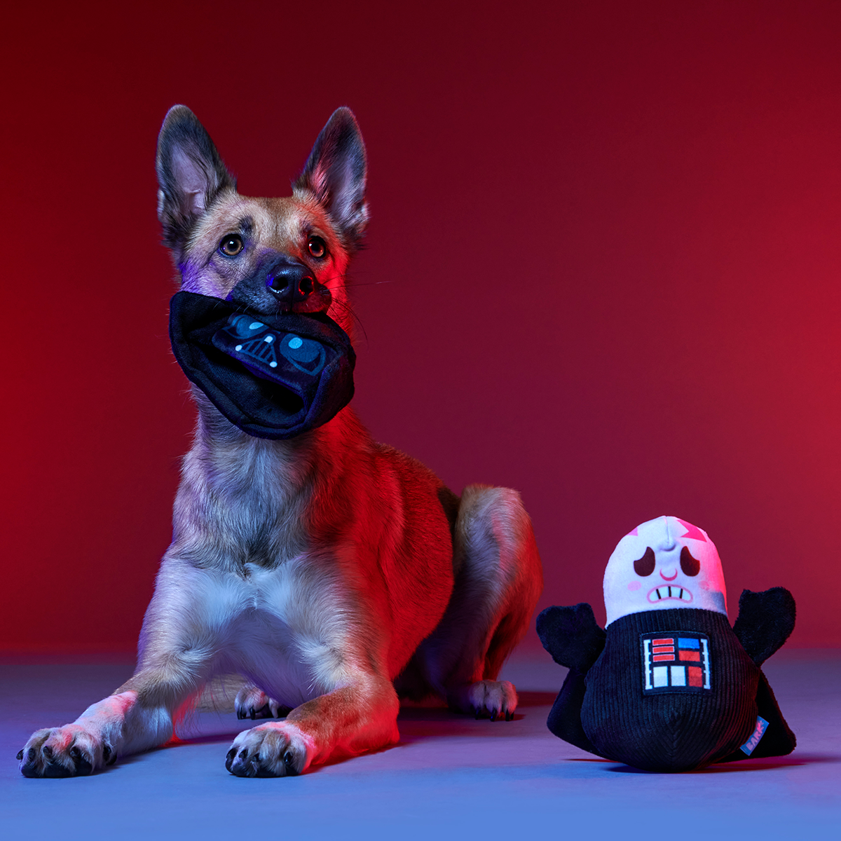 Star Wars™ BarkBox - One Month Gift Box