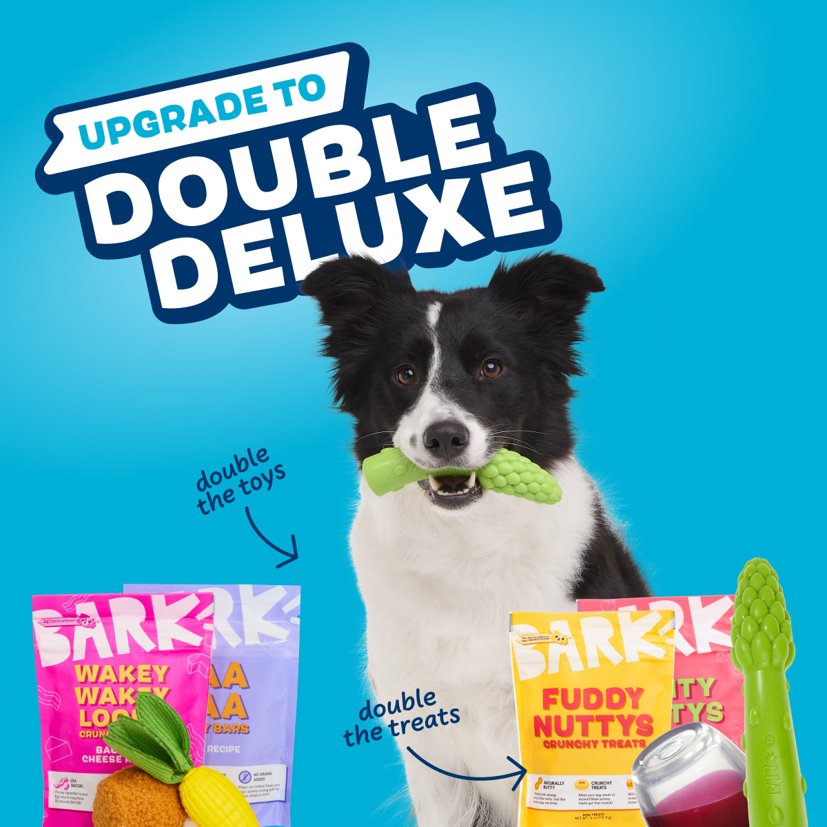 Dog Chew Big Chewer Barkbox Barkbox Bark Dog Toys Target Display