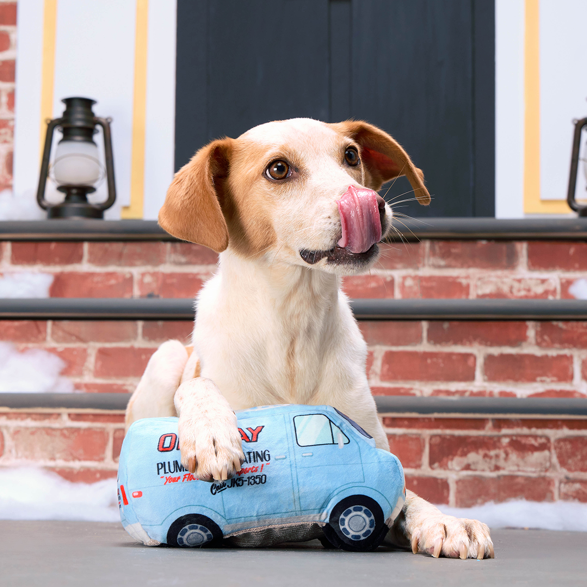 Oh-Kay Christmutts Van