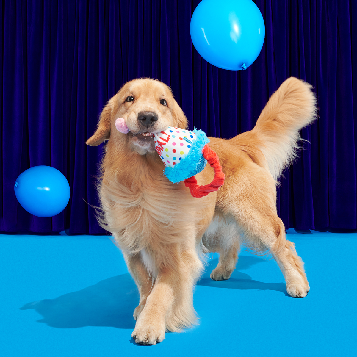 Birthday BarkBox (Toy-Only) - One Month Gift Box#Dog Size_Large Dog