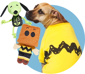 Box of dog treats and snacks labeled 'BARK.'