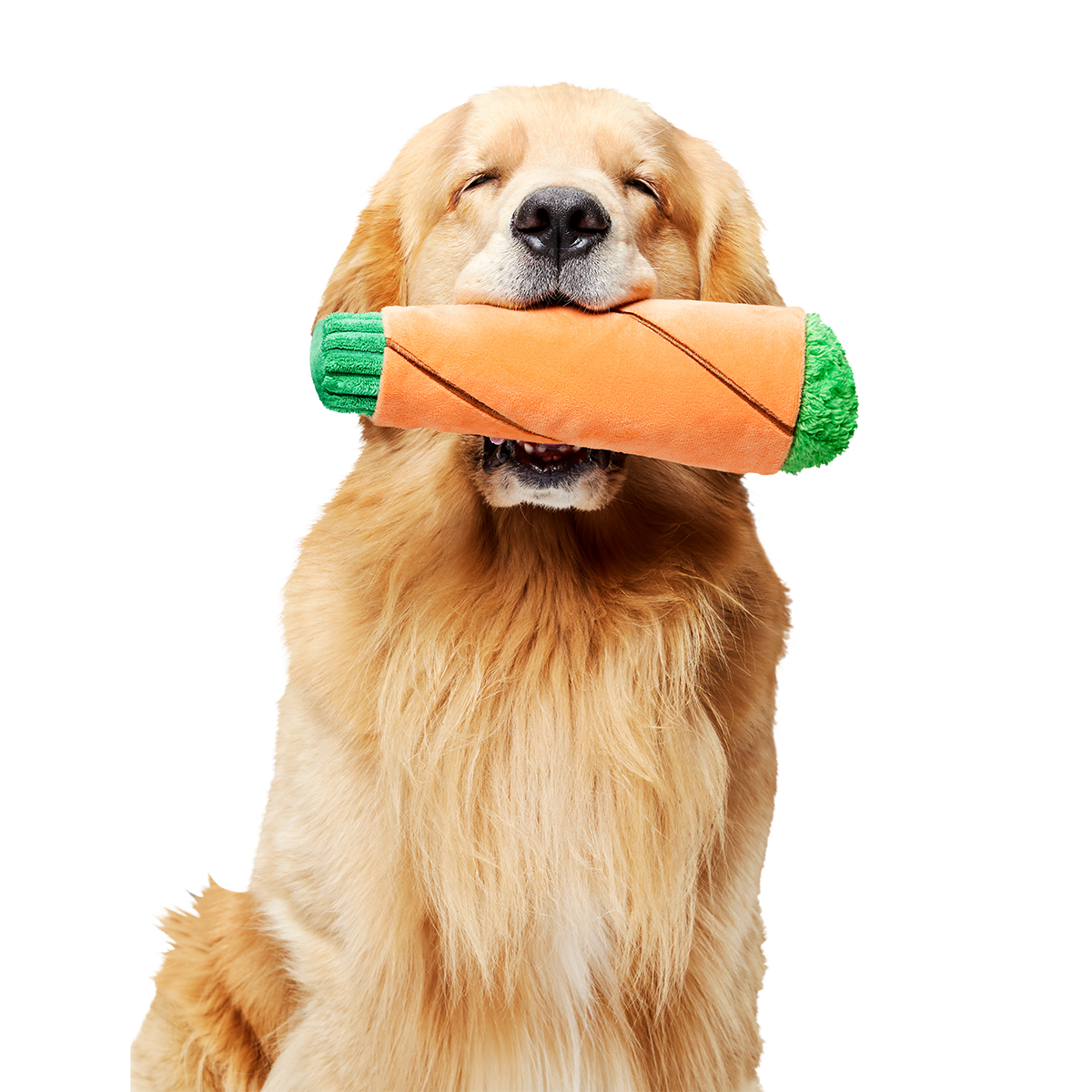 Bud Hounds BarkBox - One Month Gift Box#Dog Size_Medium Dog