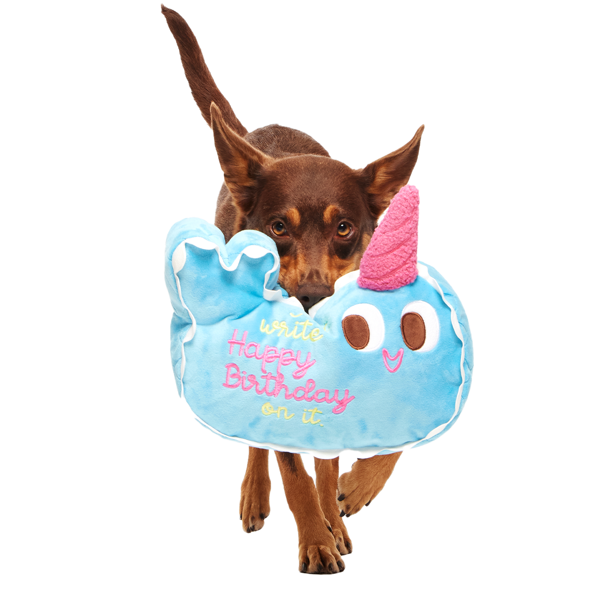 Pudgy the Narwhal Cake Plush Extra-Large Dog Toy – BARK