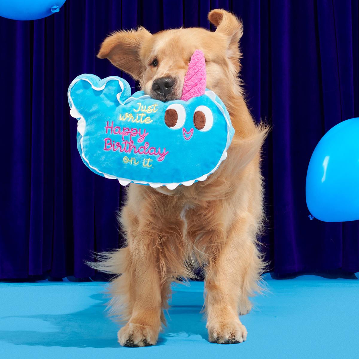 Pudgy the Narwhal Cake