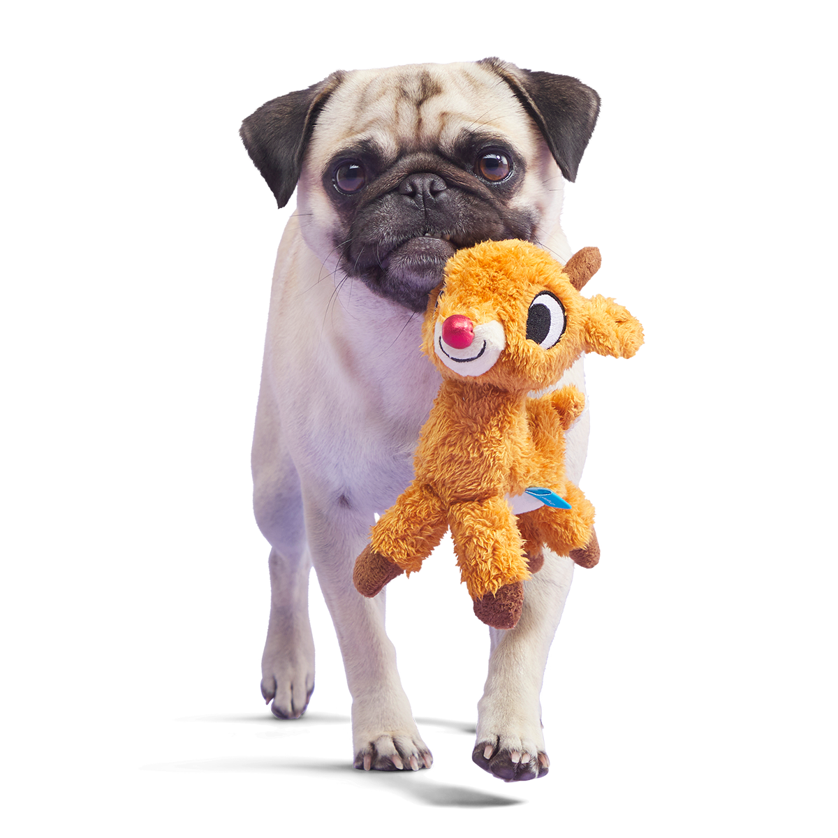 Runnin' Rudolph® Plush Tug Dog Toy