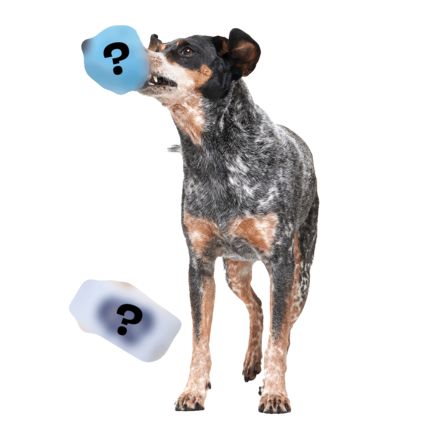 Tana - Secret Monster Club