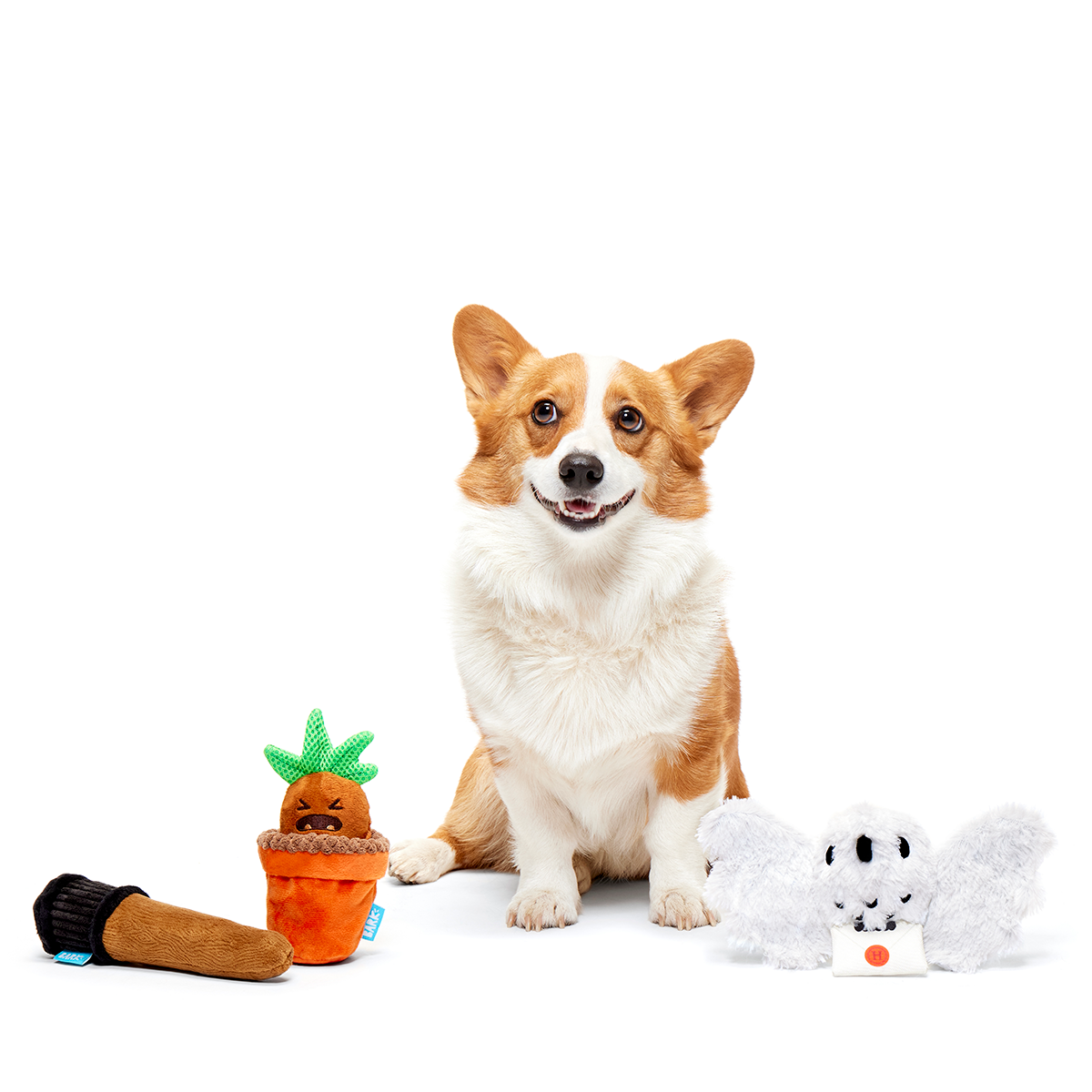 HARRY POTTER™ BarkBox - One Month Gift Box#Dog Size_Small Dog