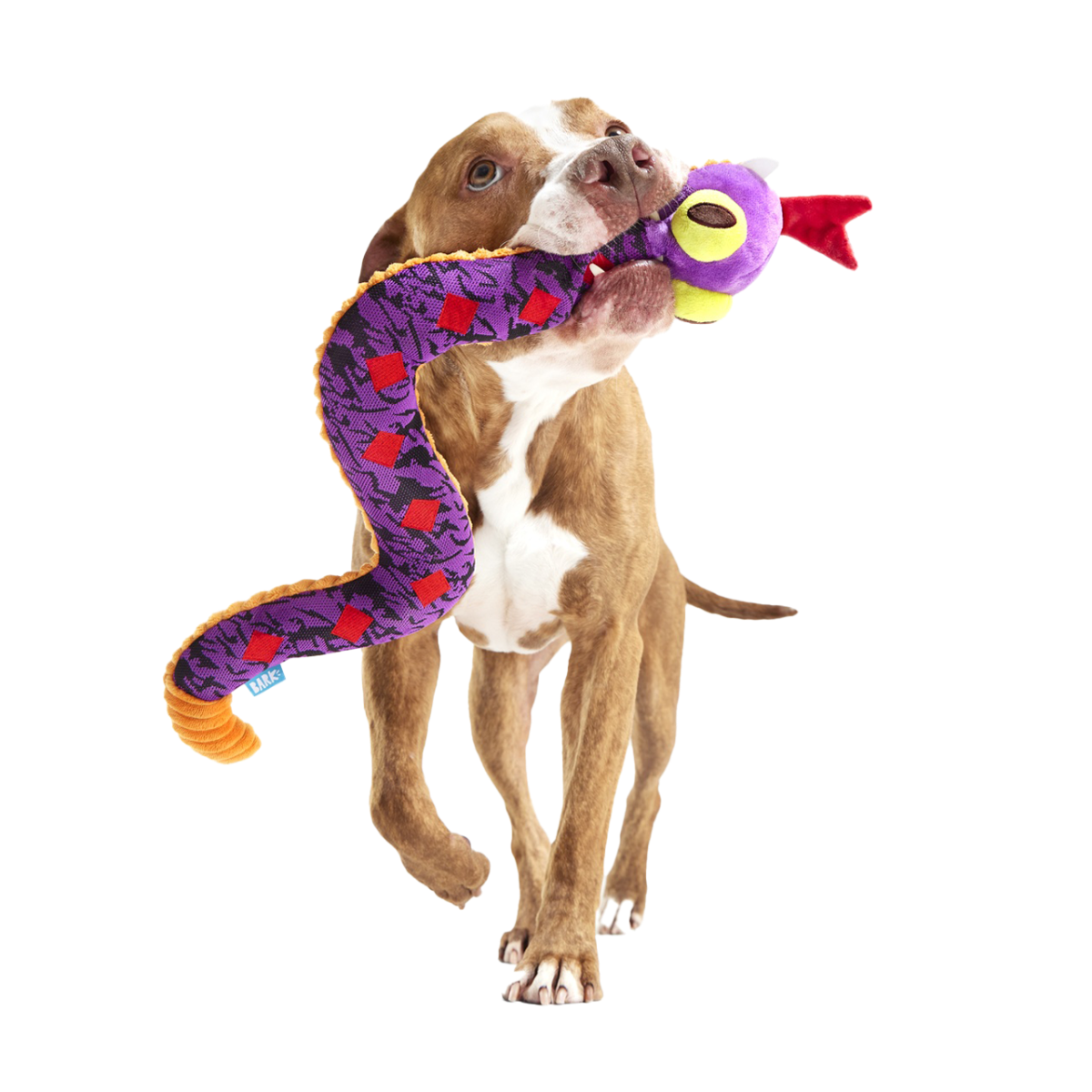 Barkさま Diamondback Jack Plush Tug + Extra-Large Dog Toy – BARK
