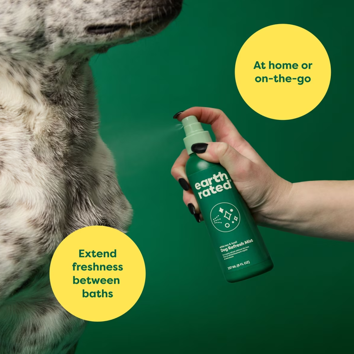 Earth Rated® Dog Deodorizing & Conditioning Refresh Mist, White Tea & Basil Scent, 8 oz