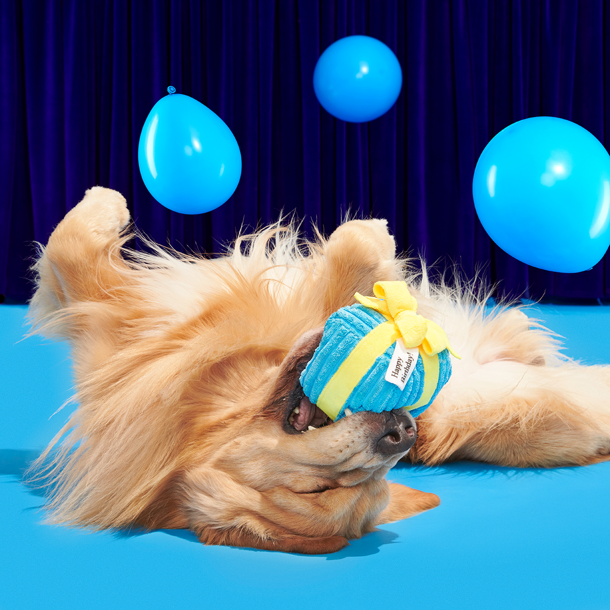 Throw A Party Present#Size_M/L