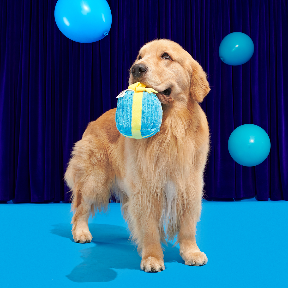 Throw A Party Present#Size_M/L