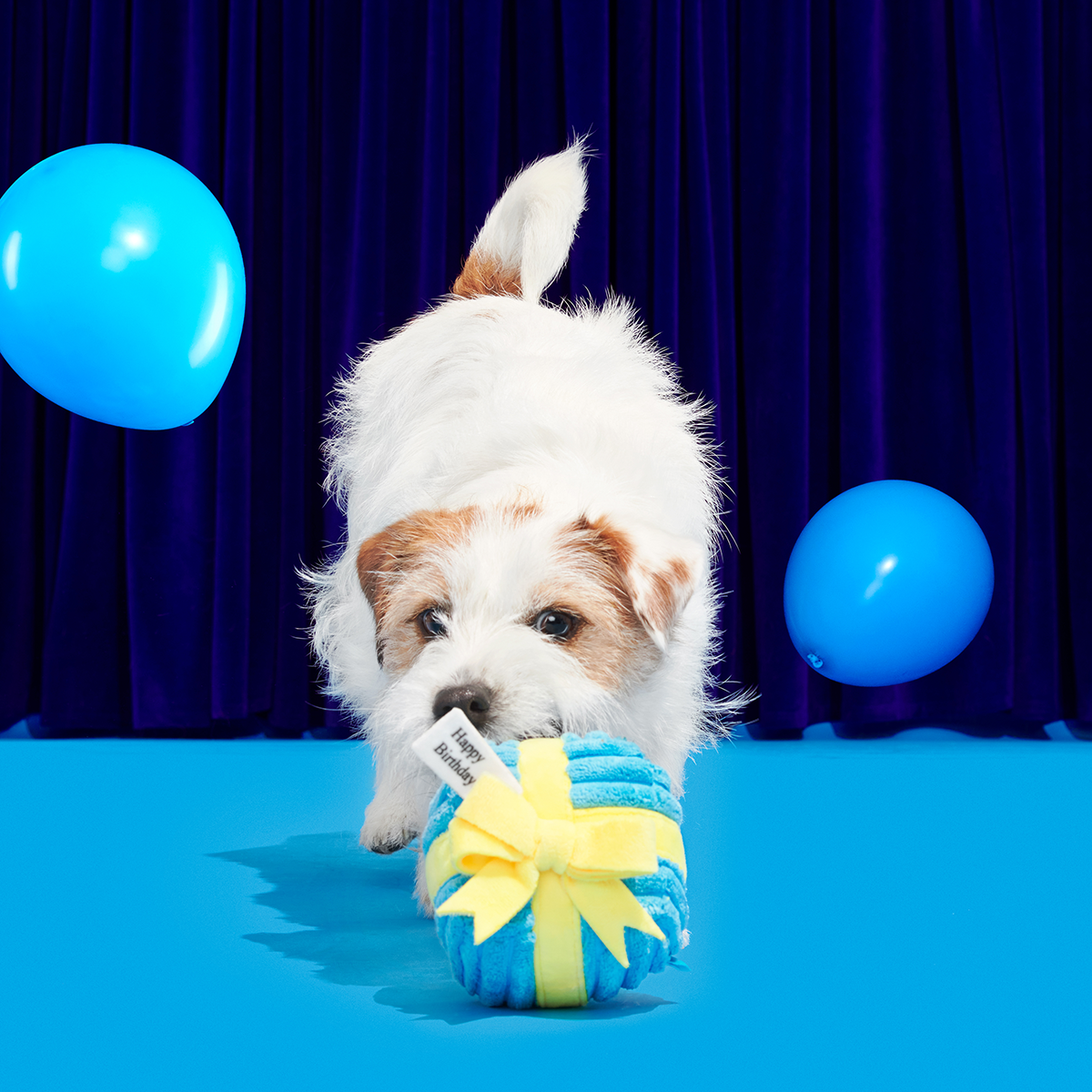 Throw A Party Present#Size_S