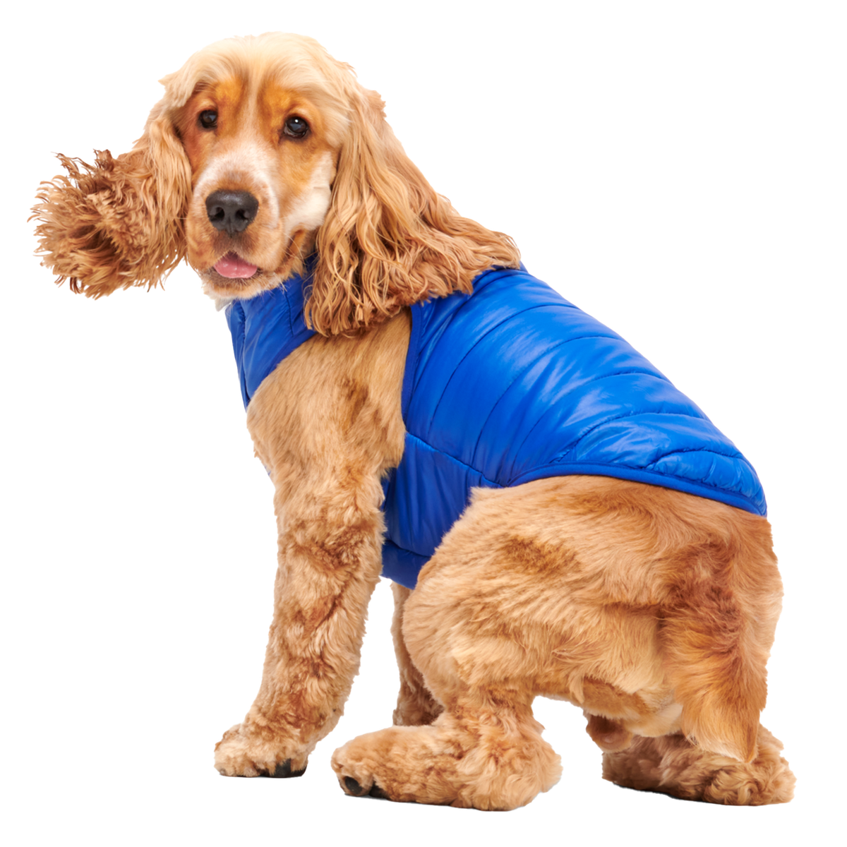 Puffer Dog Vest – BARK