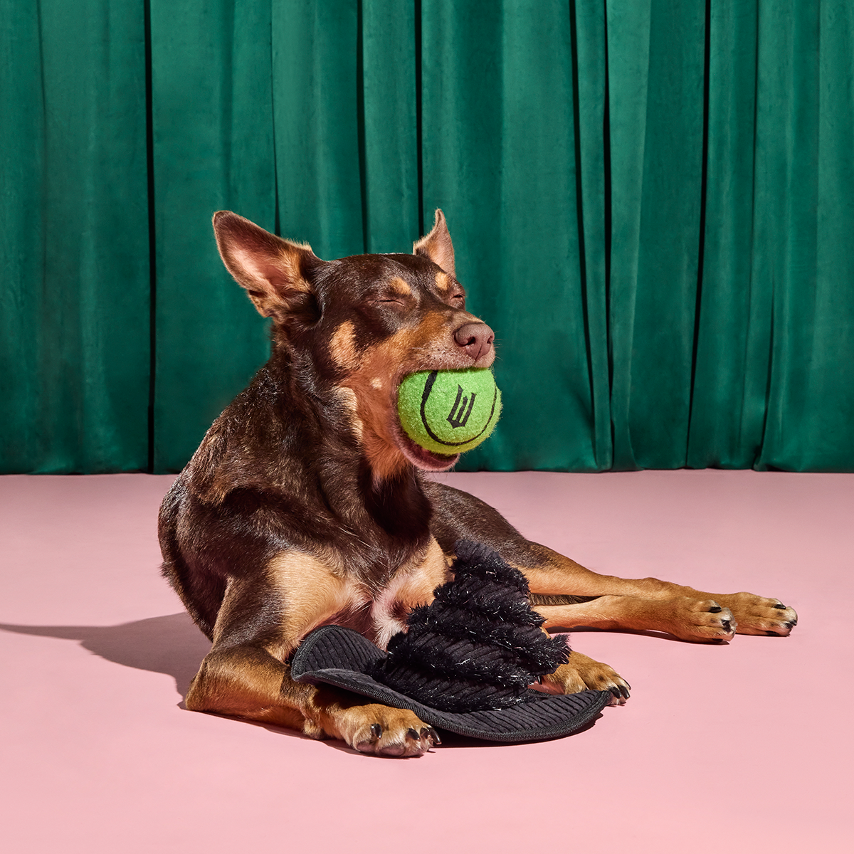Elphaba's Ozdust Hat