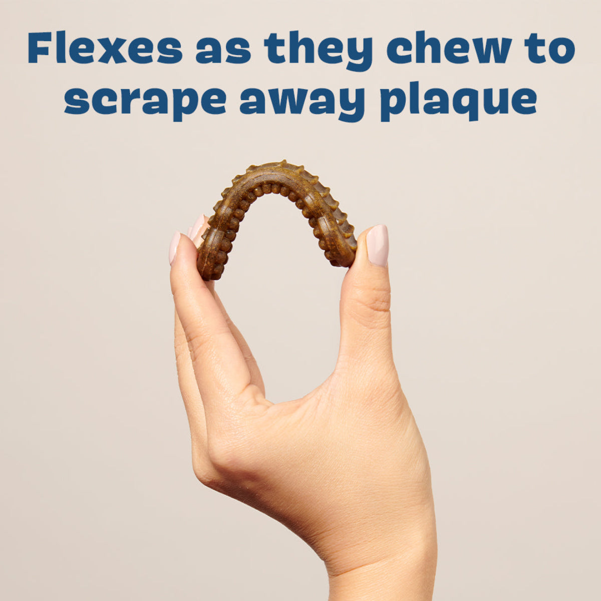 Bright Durable Dental Chews