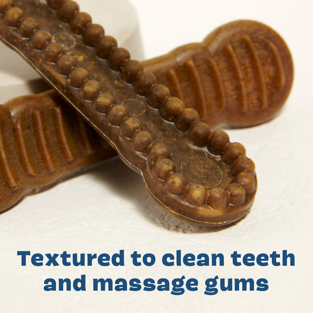 Bright Durable Dental Chews