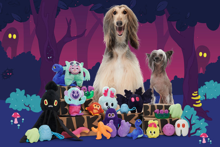 April 2024 BarkBox & Super Chewer Theme Reveal: Barking at Bigfoot