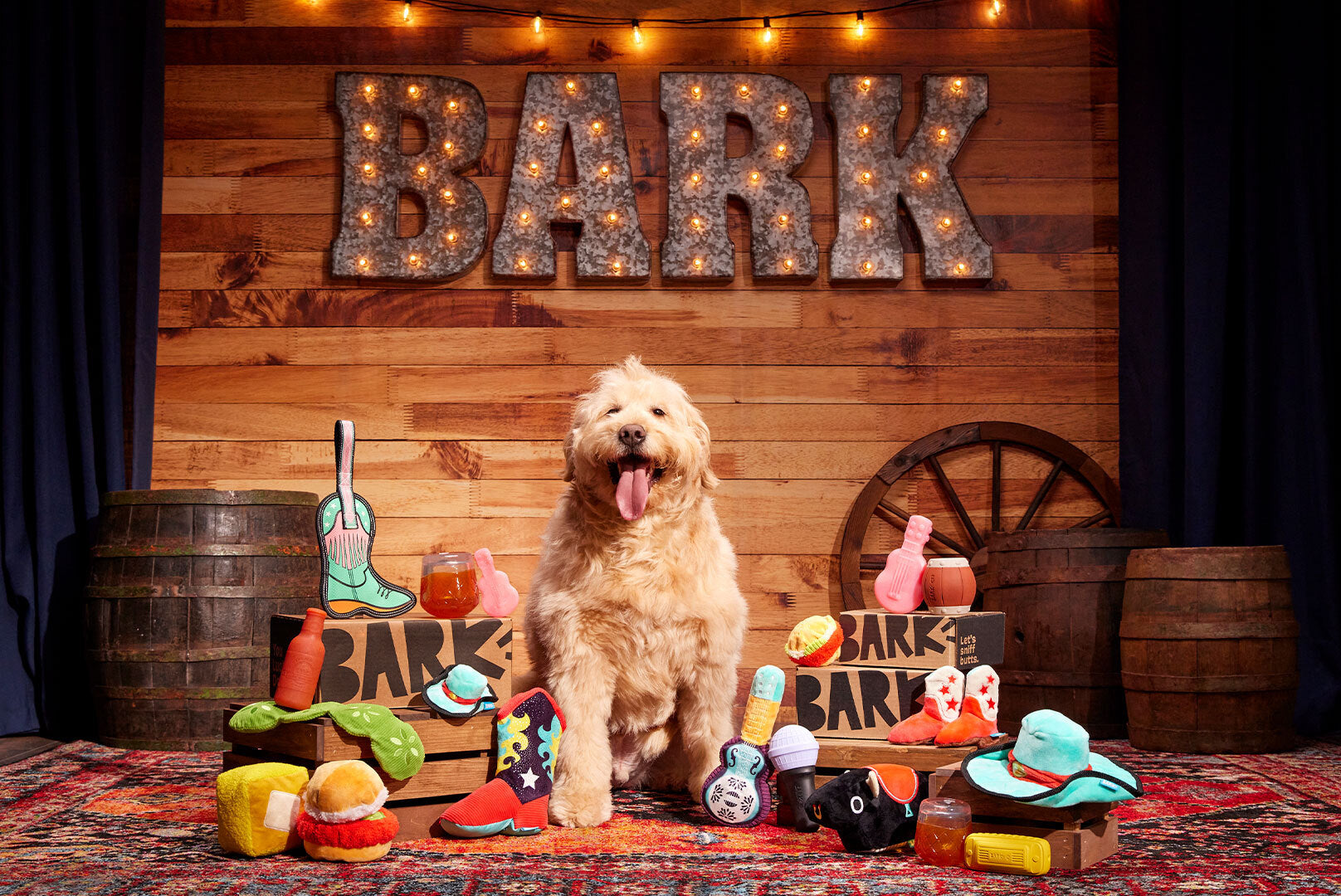 June 2024 BarkBox &amp; Super Chewer Theme Reveal: Yee Howl, Nashville!