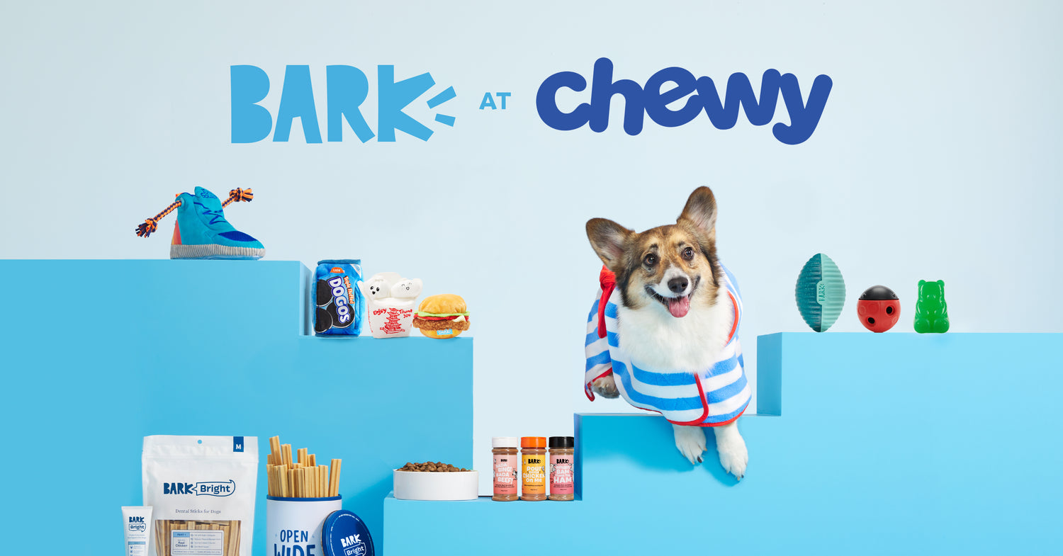 BARK Launches Best-Selling and Limited-Edition Toy Collections at Chewy