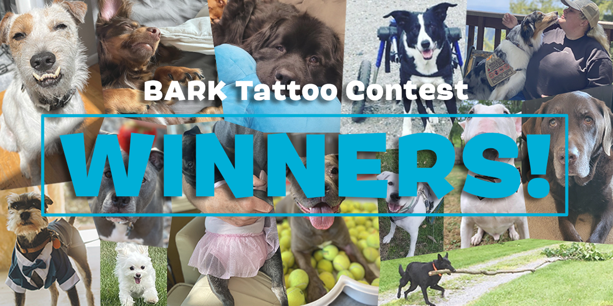 Here Are The 2023 BARK Tattoo Contest Winners!