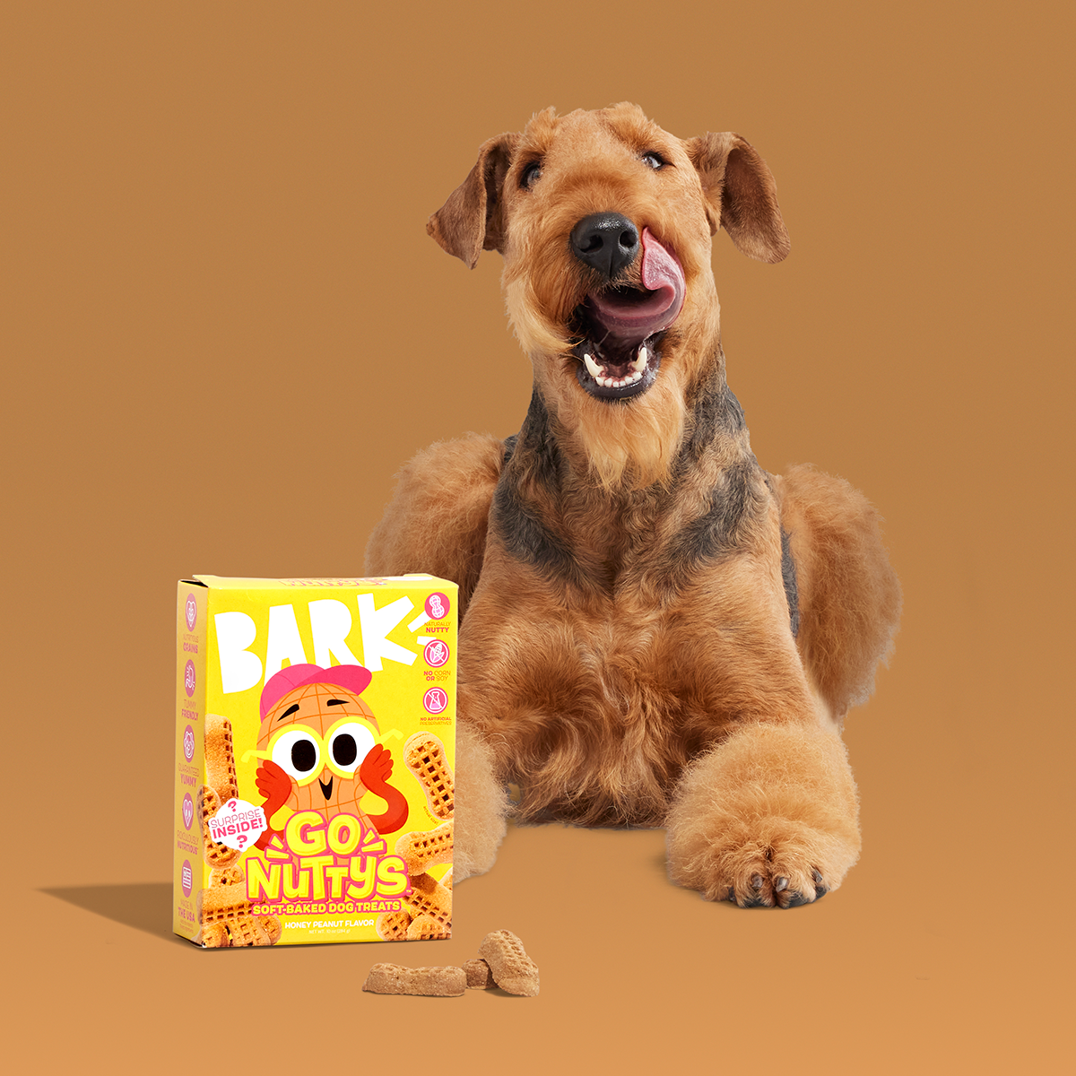 Best Soft Treats for Dogs With No Teeth: Top Gentle Picks