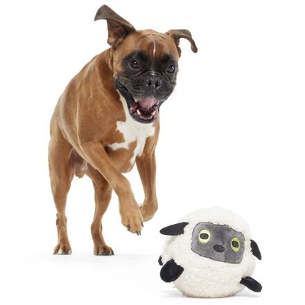 dog leaping on a toy