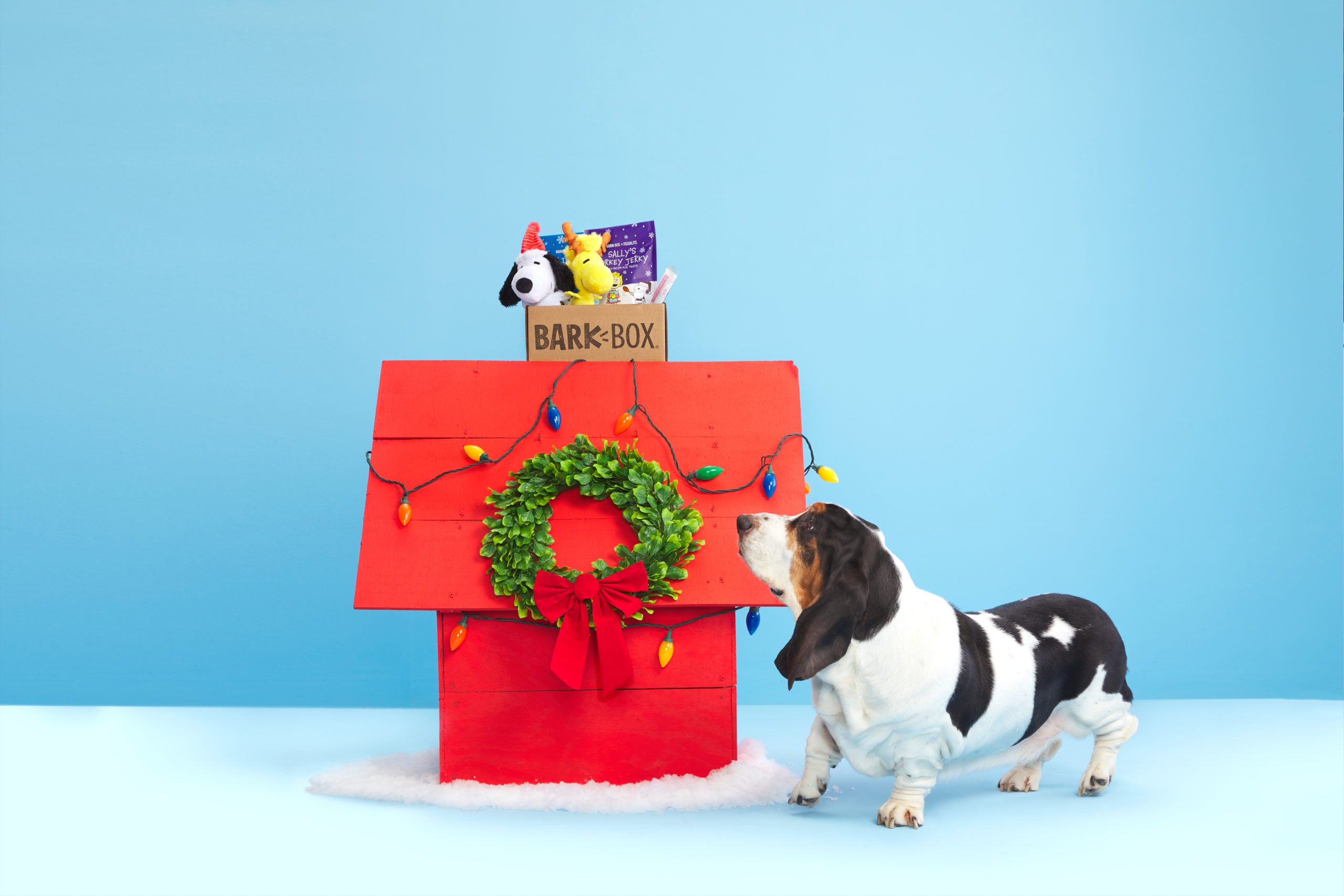 Lights, Please: BARK, Company Behind BarkBox, Launches Peanuts-Themed Subscription Box for December