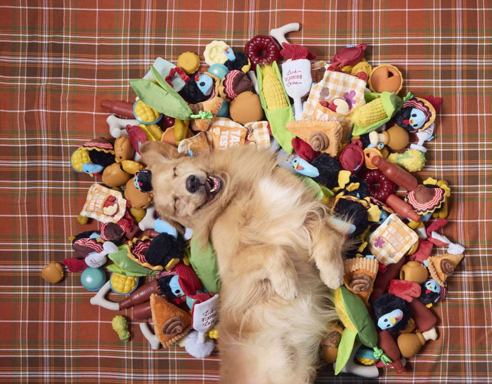 November 2024 BarkBox & Super Chewer Theme Reveal: Dogsgiving!