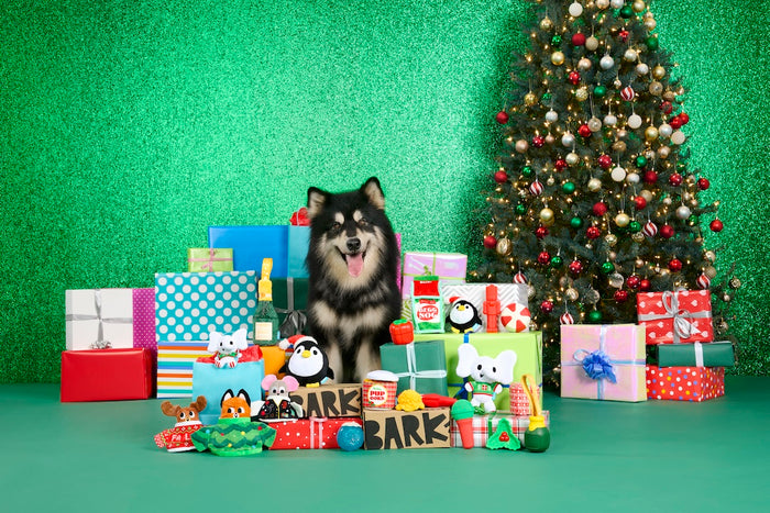 December 2024 BarkBox & Super Chewer Theme Reveal: Howliday Party!