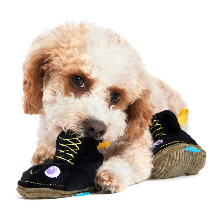 dog with favorite toy