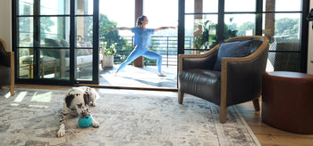 Licksters Has Landed: The Toy + Treat System That Turns Zoomies Into Slobbery Zen