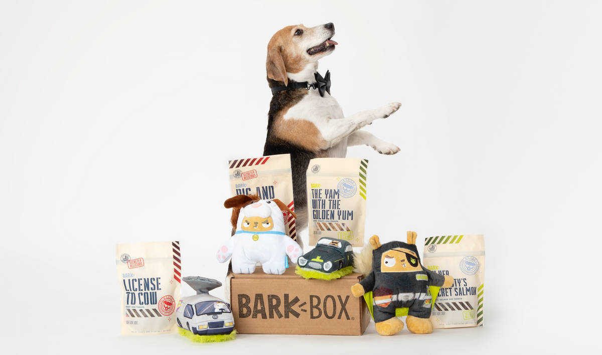 Barkbox fashion amazon