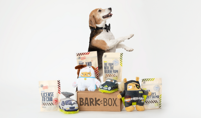 beagle next to display of dog products