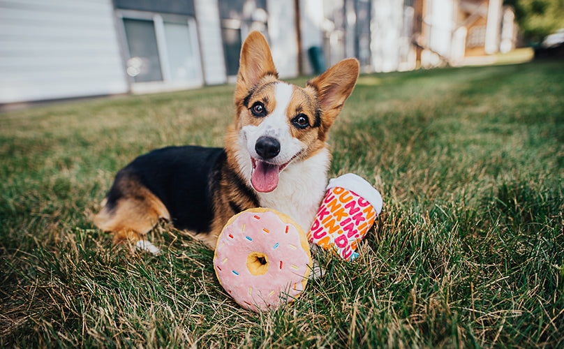 America’s Dogs (Still) Run On Dunkin’: BARK’s Dunkin’ Toys Return With A New Look To Support A Great Cause