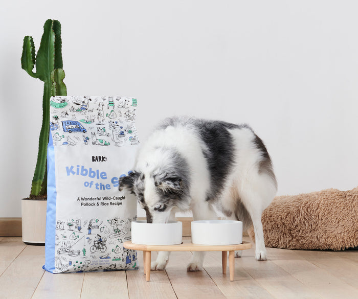 BARK Expands Food Offering To Serve Ten Breeds