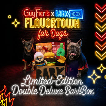 Guy Fieri’s Flavortown - BARK