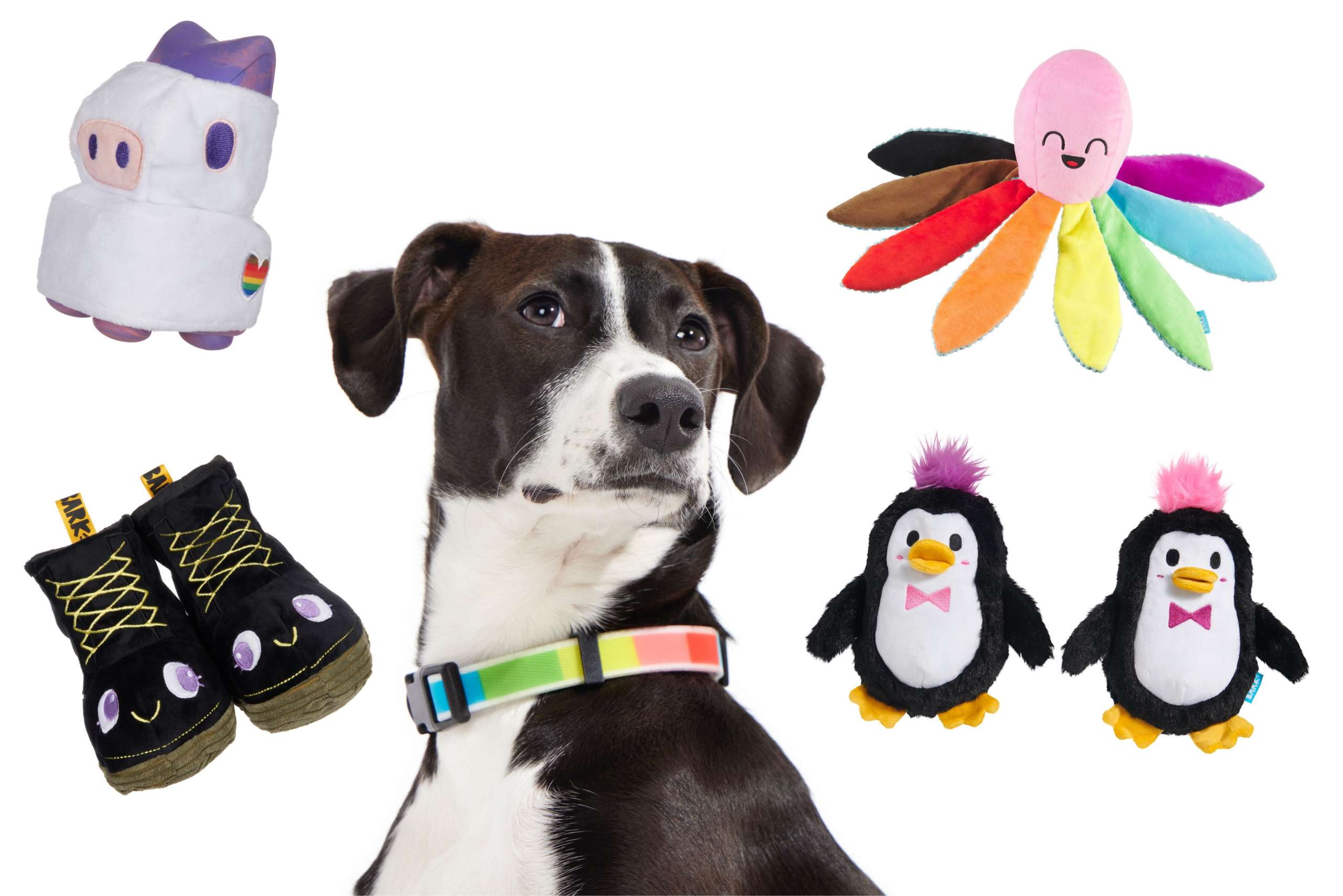 Which Type of "Gay" is Your Dog Based on Their Pride Toy Choice?