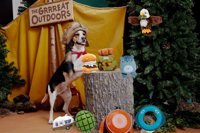 Get Your Dog Ready For Camp With Our 