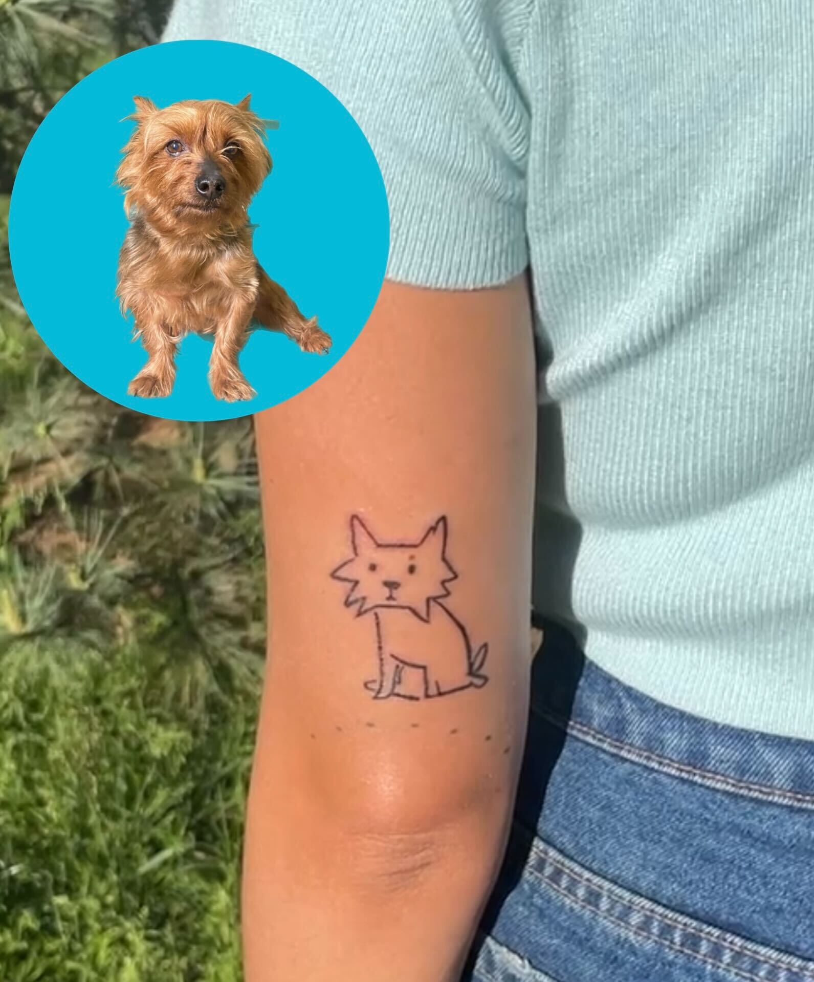 BARK Wants To Pay For You To Get A Tattoo Of Your Dog